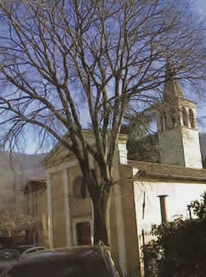 Chiesa Antica foto recente